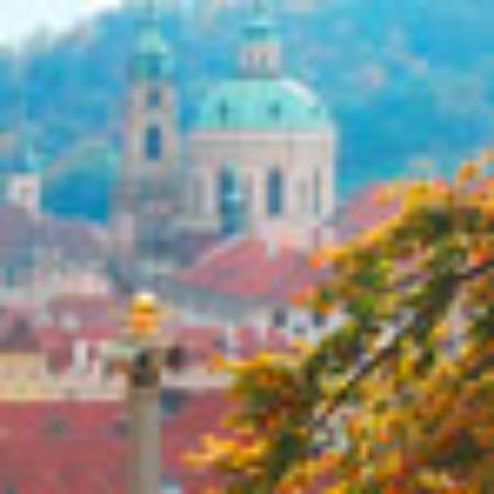 Yerbaciarnia Terere